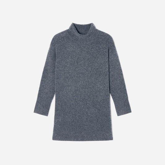 The Cozy Stretch Turtleneck Dress | Marin