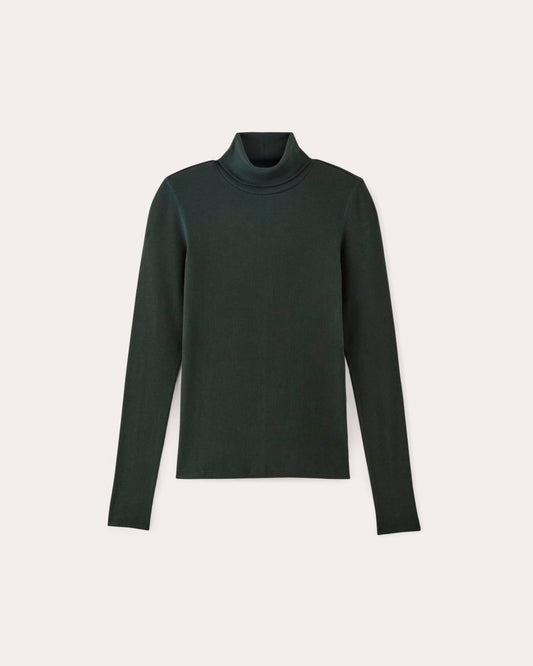 The Luxe Rib Turtleneck | Scarab